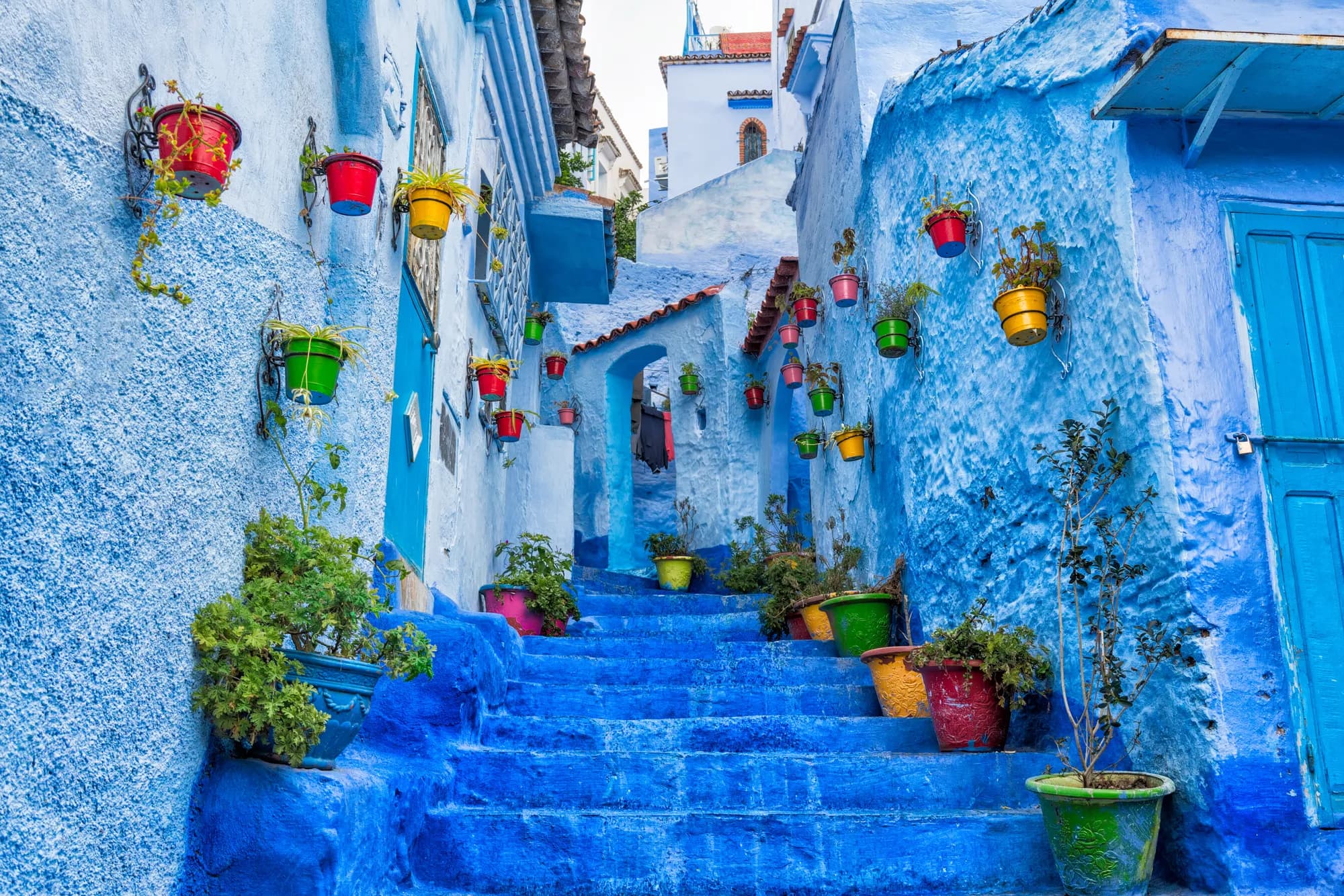 A blue-painted stairway lined with plant pots in Chefchaouen, Morocco